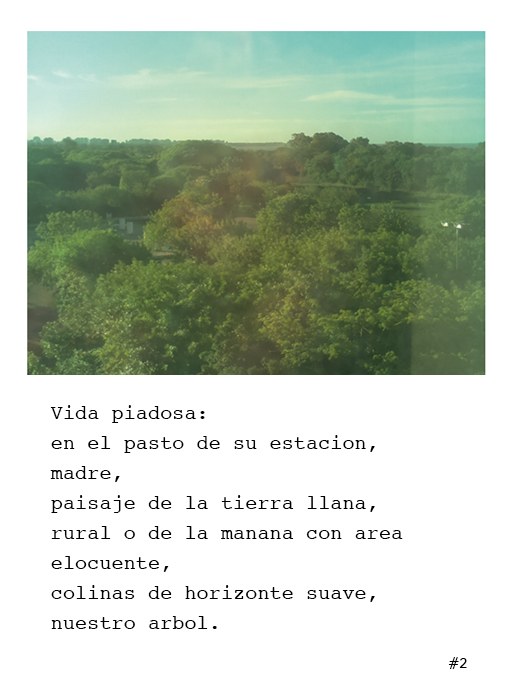 Poetografía 2